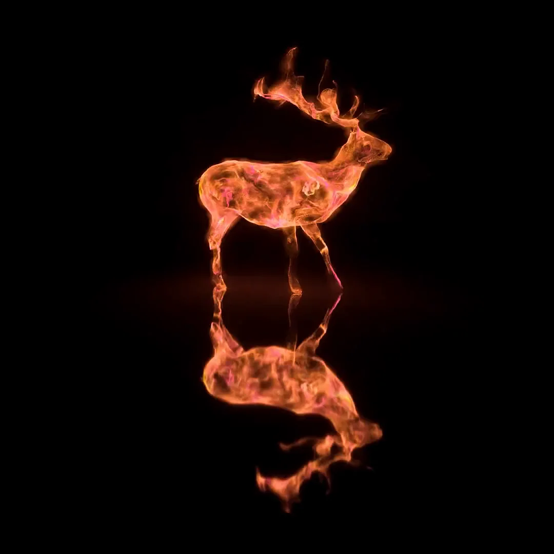 Een hert van oranje vuur met zijn spiegelbeeld op een zwarte achtergrond. Het eerste beeld van een Pyro-animatie in Houdini.